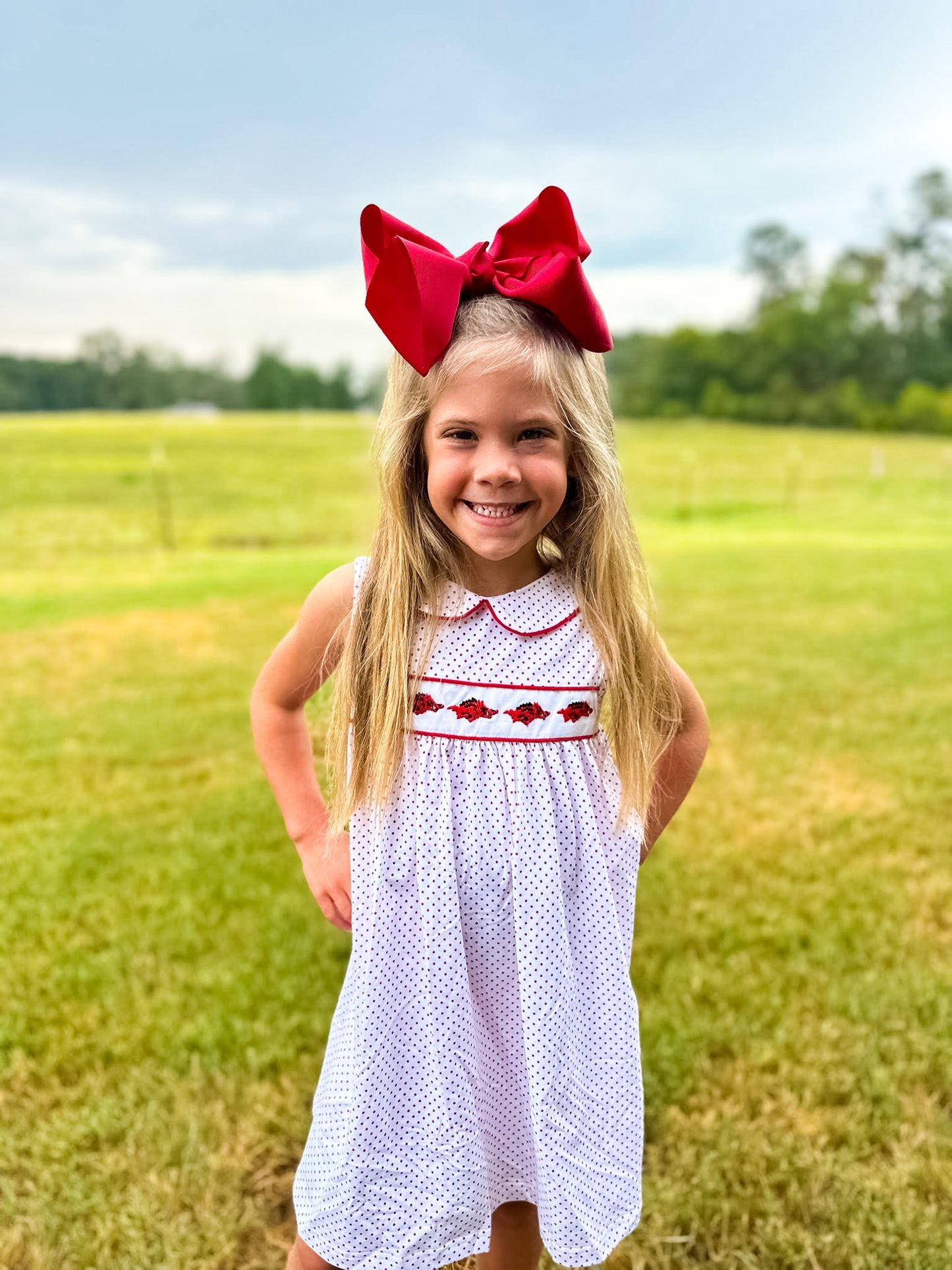 Hog Stripe Dress