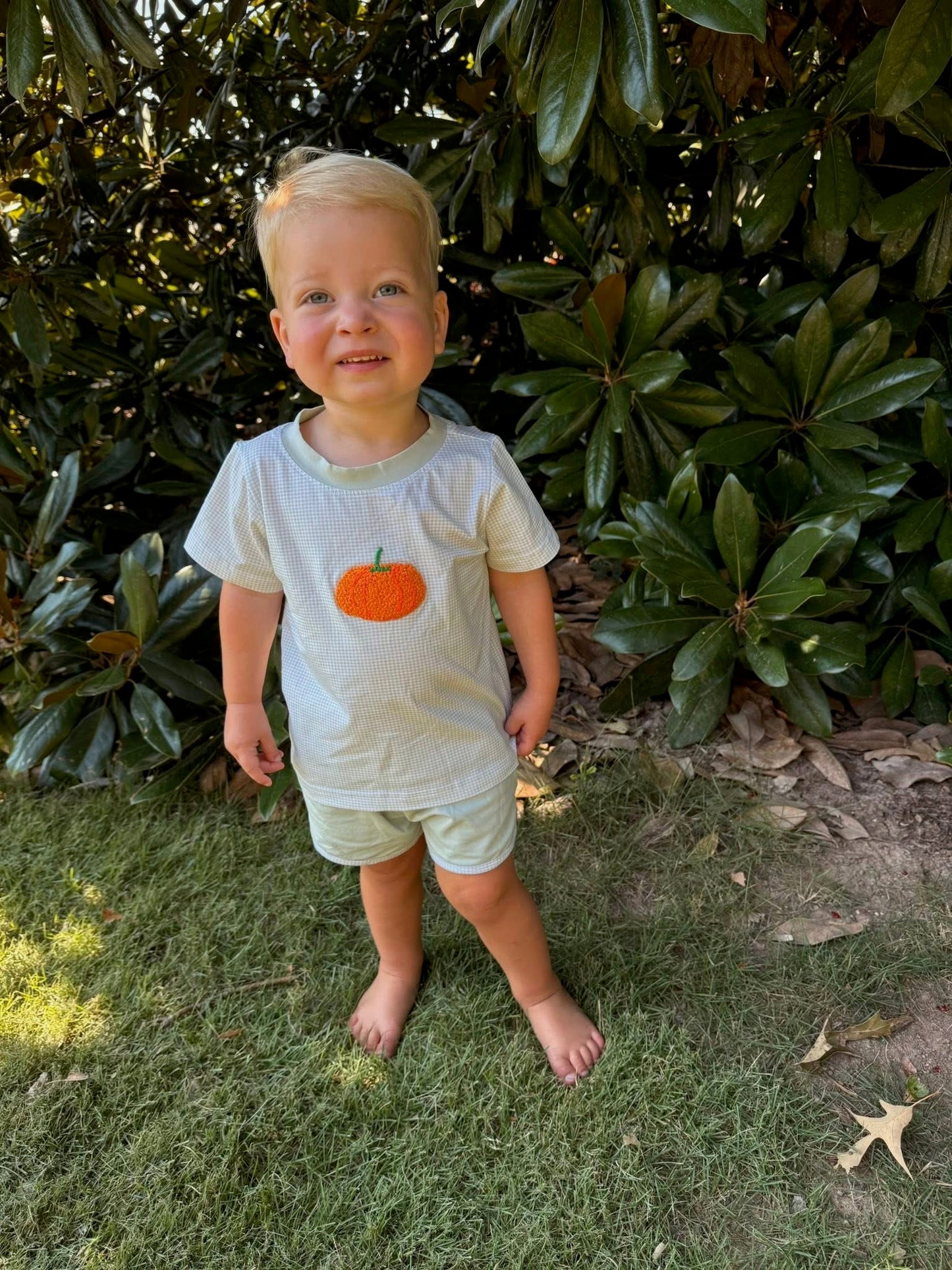 Sweet and Simple Pumpkins Boy Short Set