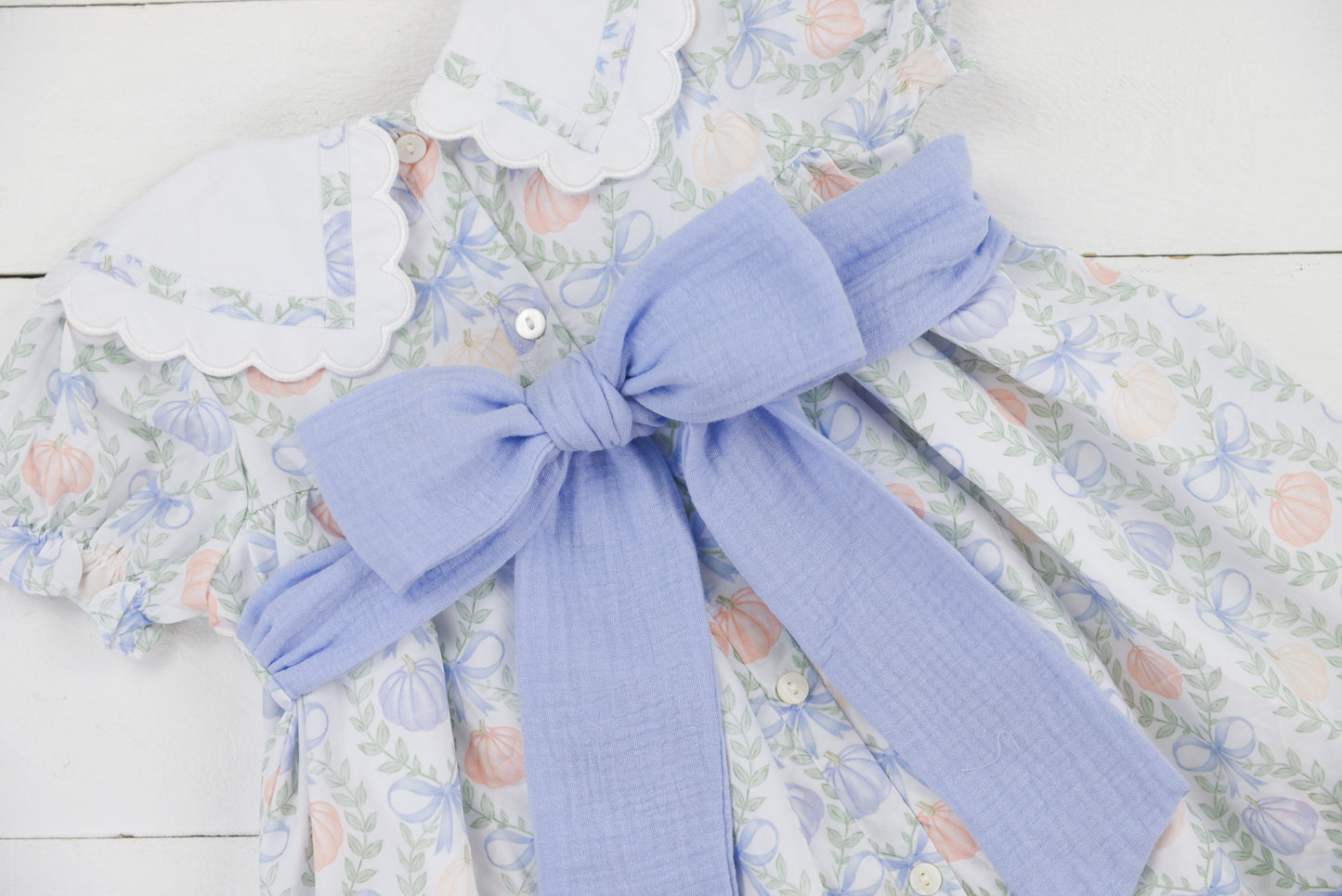 Printed Pumpkin Patch Dress