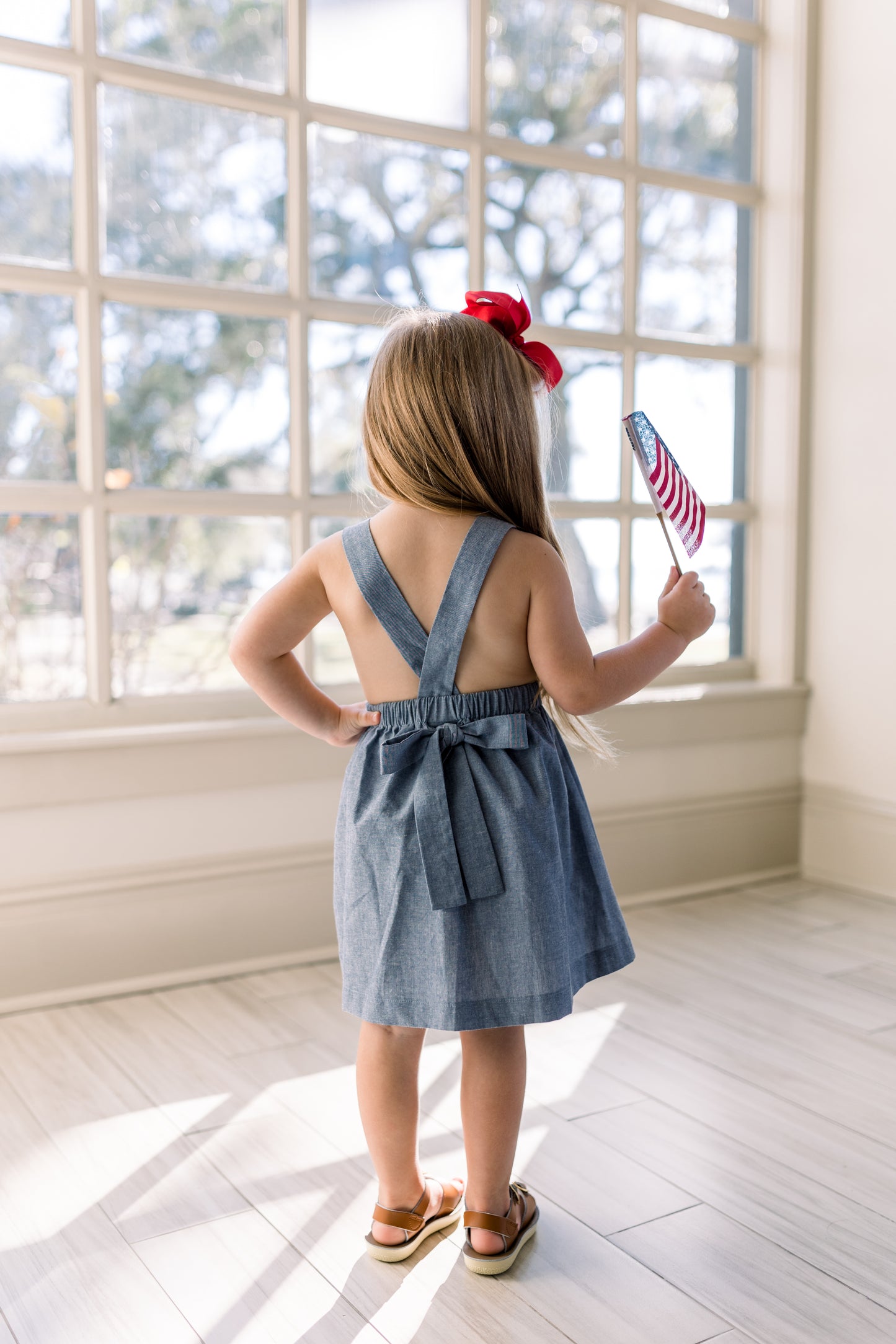 Land of the Free Dress