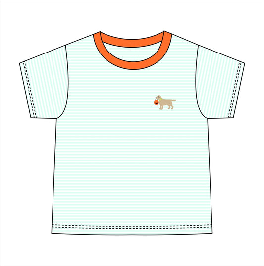 PO113: Boys Fall Mint Stripe Polo T-Shirt