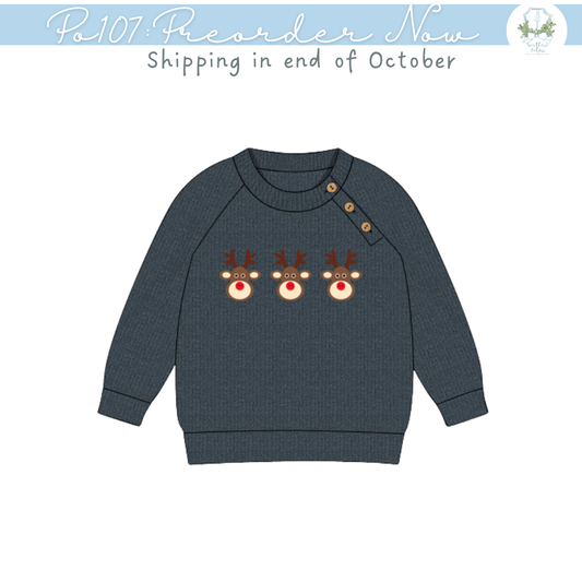 PO107: Red Nose Boy Sweater