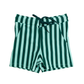 Green & Mint Stripe Swim Trunk