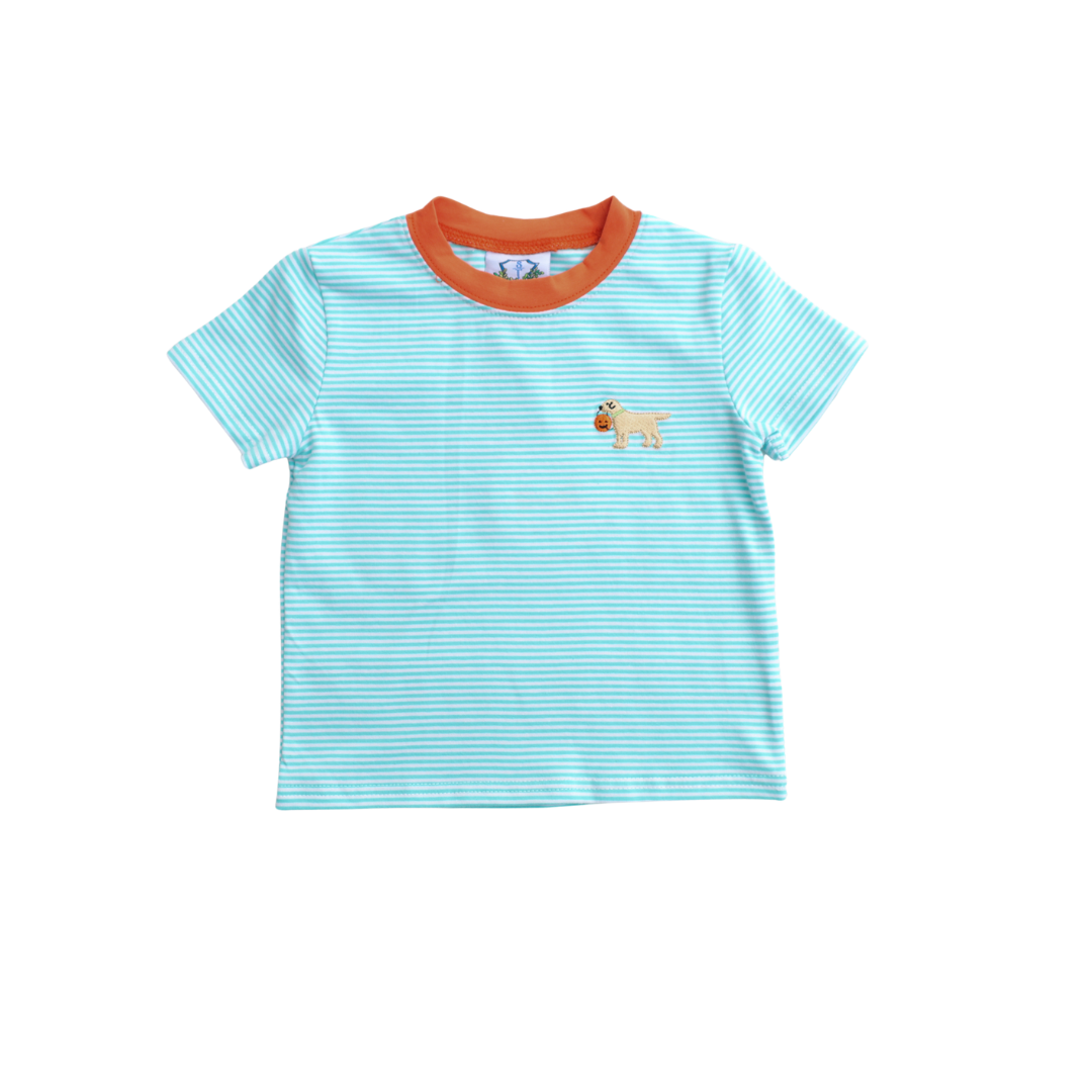 Boys Fall Mint Stripe Polo T-Shirt