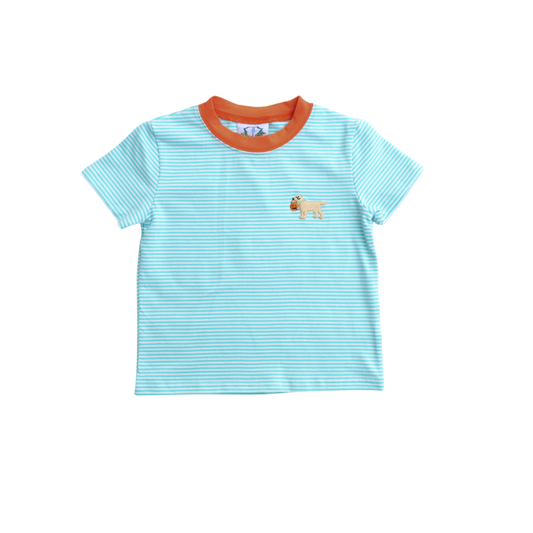 Boys Fall Mint Stripe Polo T-Shirt