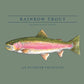 Boys' Short Sleeve Cotton T-shirt in Hedge Green with Rainbow Trout Fish